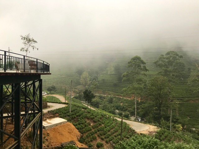 ヌワラエリヤの紅茶工場　景色