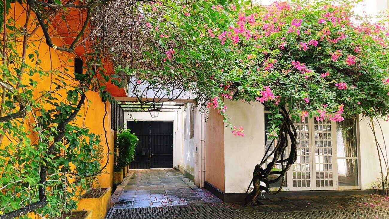Sri Lankan Modernism スリランカの現代住宅 A1UtfcZb-sL._AC_UF1000,